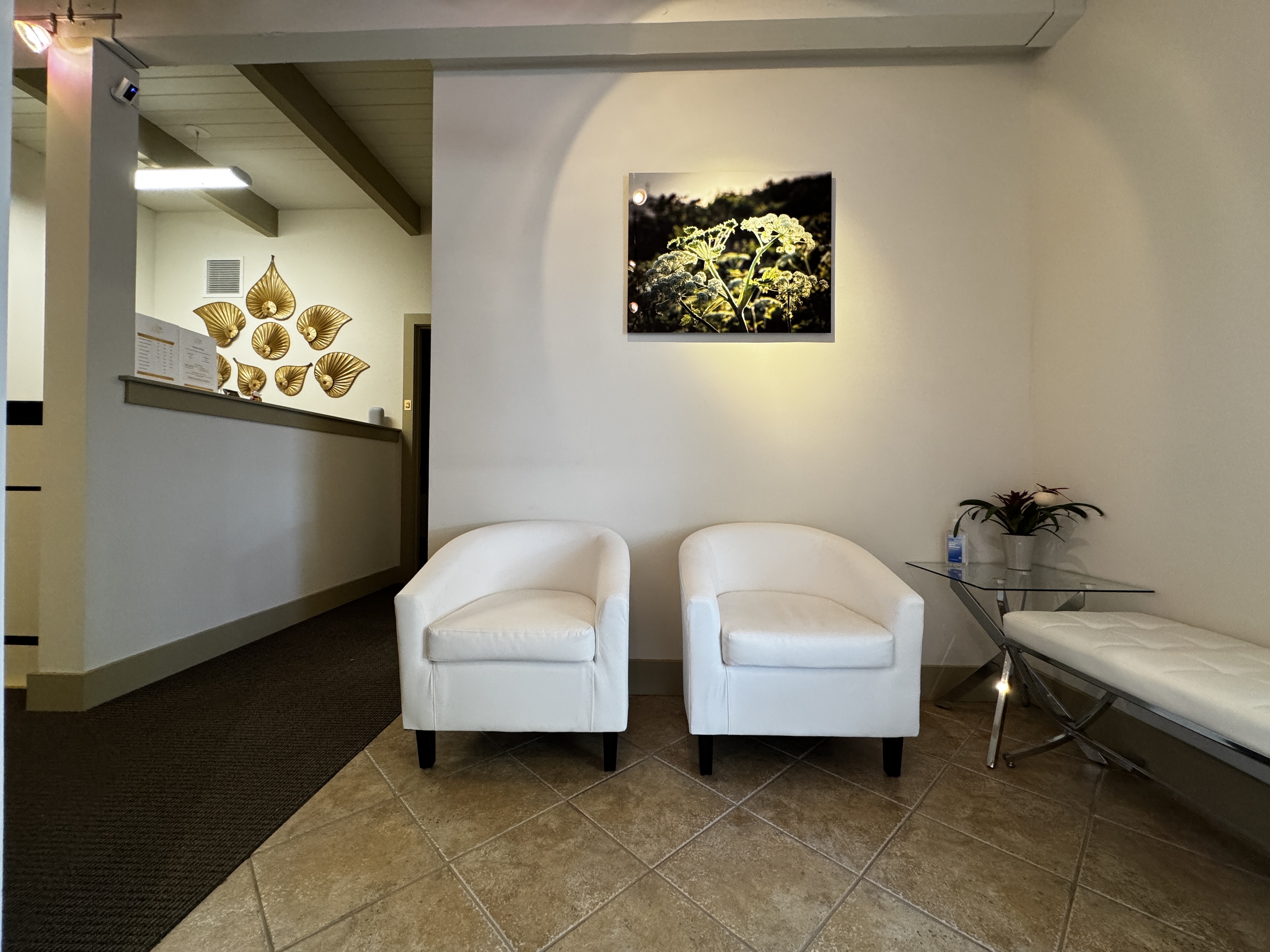 Spa entrance and reception with welcoming atmosphere